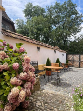 Casa Zatler 2#
